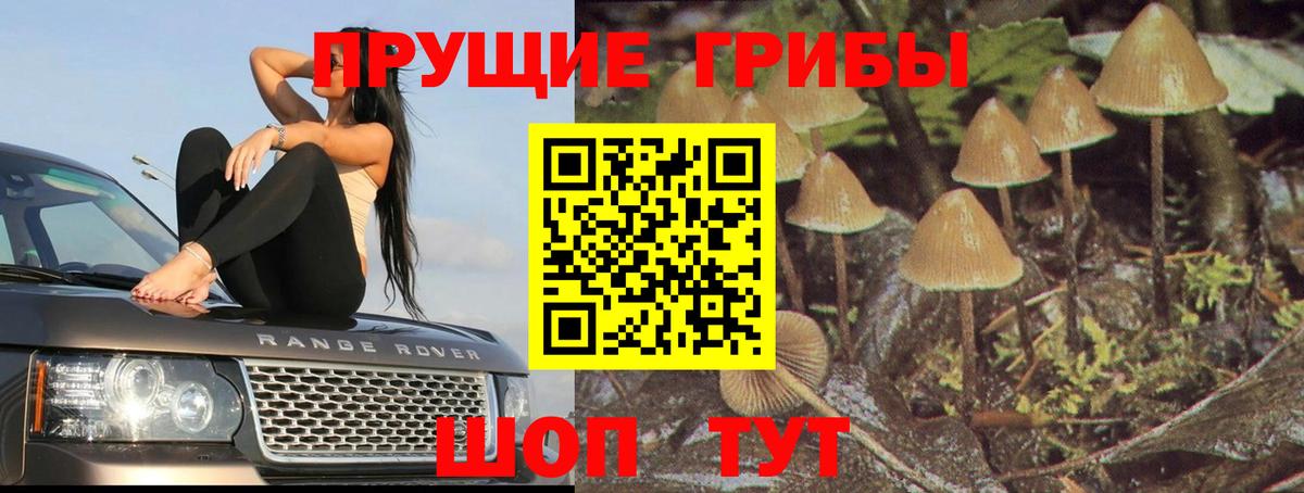 Псилоцибиновые грибы мицелий  Вход с VPN  Полысаево 